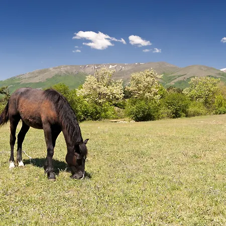 Barcelo Royal 阳光海滩