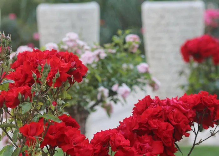 منتجع Barcelo Royal 5*